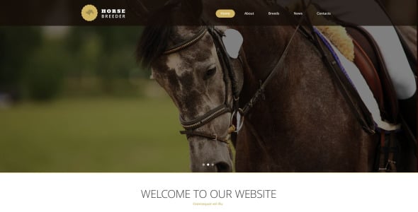 шаблон сайта коневодства