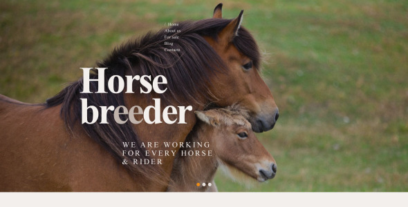 тема wordpress для коневодов