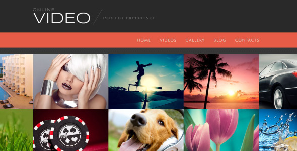 видео блог wordpress тема