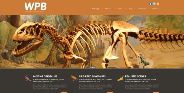 адаптивная тема wordpress для парка развлечений