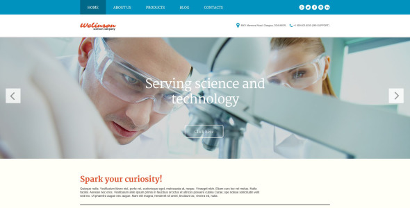 welinson wordpress тема