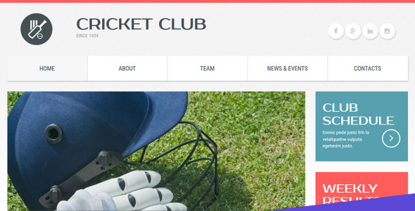 шаблон cricket club moto cms 3