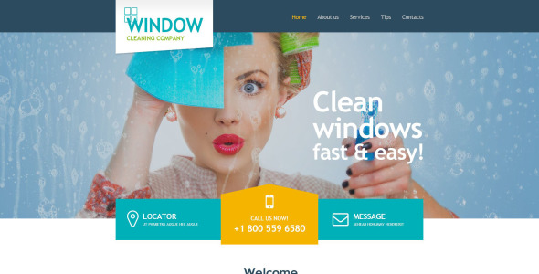 шаблон музы мойки окон