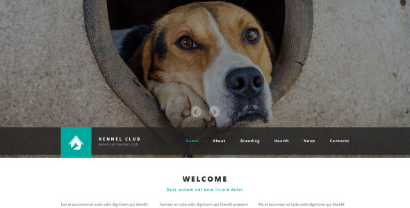 шаблон сайта клуба собаководства