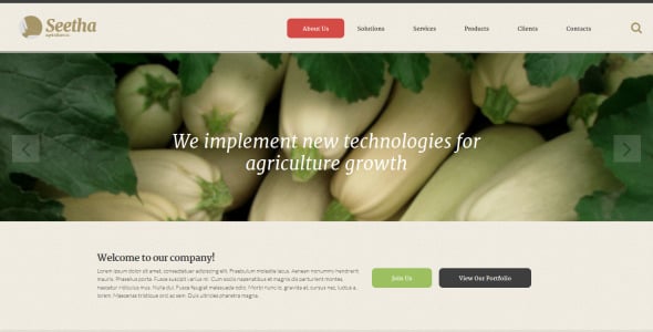 шаблон сайта seetha