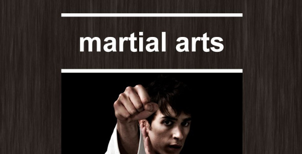 адаптивный шаблон информационного бюллетеня по боевым искусствам