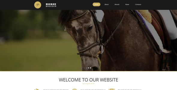 шаблон horse moto cms 3