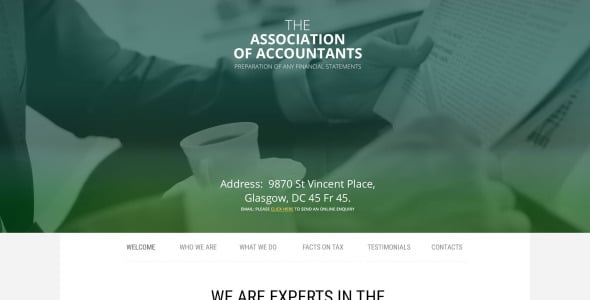 шаблон сайта генерального бухгалтера