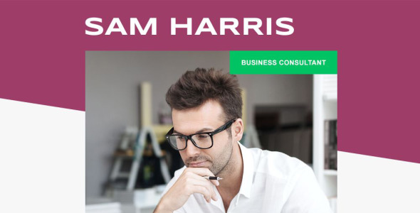 адаптивный шаблон информационного бюллетеня для бизнеса и услуг