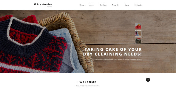 чистый и сухой шаблон сайта