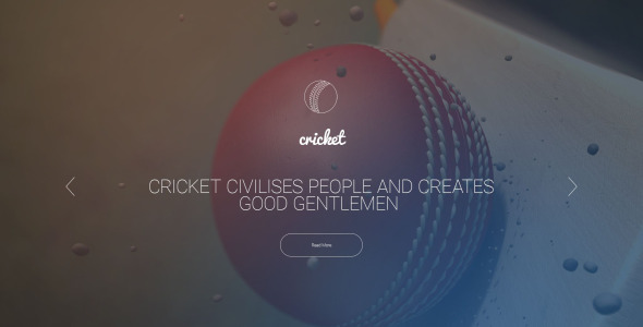 шаблон сайта крикета