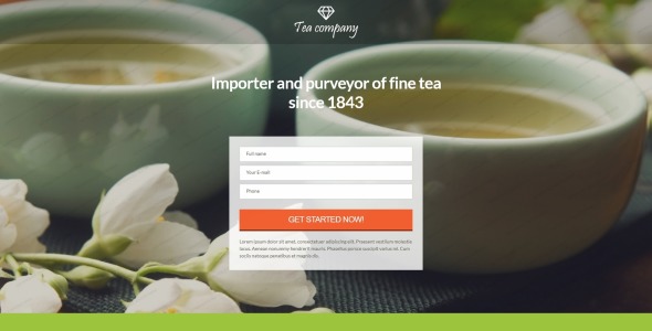 шаблон адаптивной целевой страницы tea shop