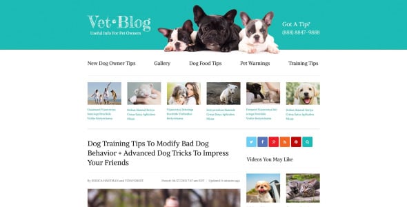 шаблон сайта блога ветеринара