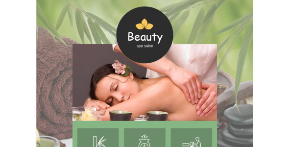 спа аксессуары отзывчивый шаблон информационного бюллетеня