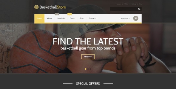 тема баскетбольного магазина woocommerce