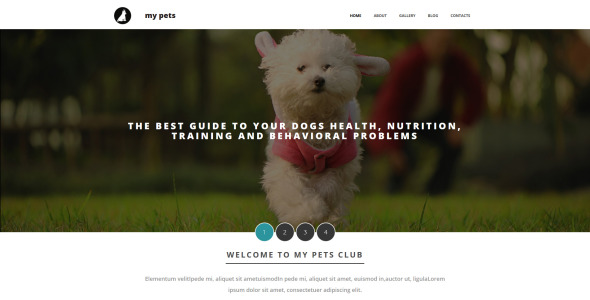 шаблон pet shop moto cms 3