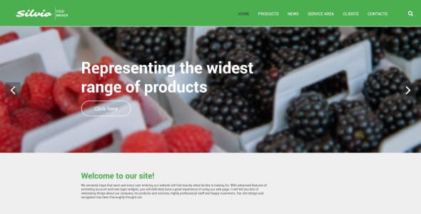 шаблон сайта silvio