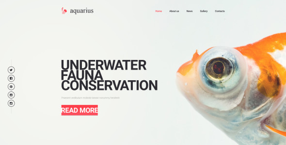 шаблон сайта водолей