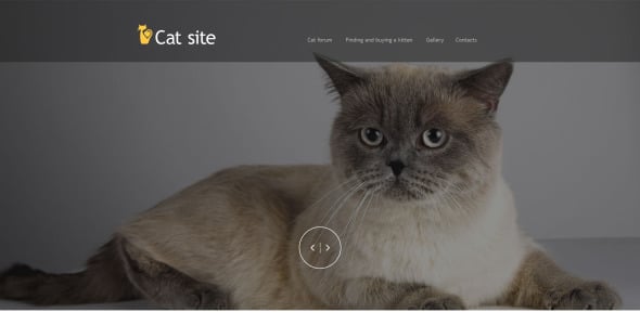 шаблон кошачьей музы