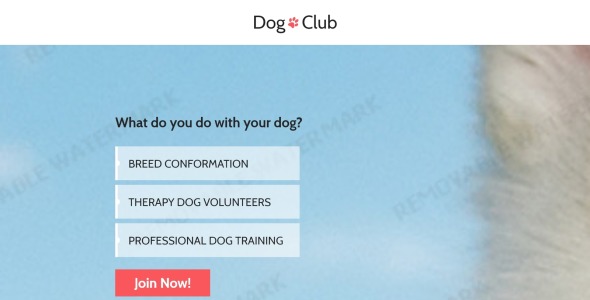 собака отзывчивый шаблон целевой страницы