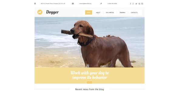 шаблон dog moto cms 3