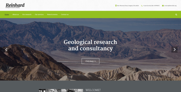 шаблон сайта reinhard