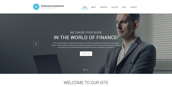 профессиональная занятость шаблон drupal