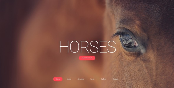 лошадь отзывчивый креативный html шаблон сайта