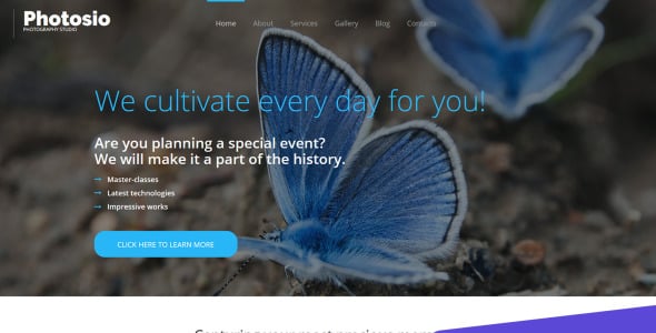 фотография портфолио шаблон фотогалереи