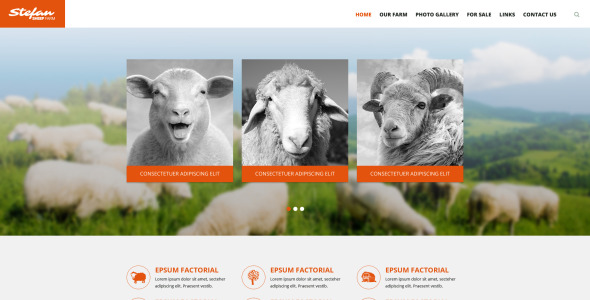 шаблон сайта овцеводческой фермы