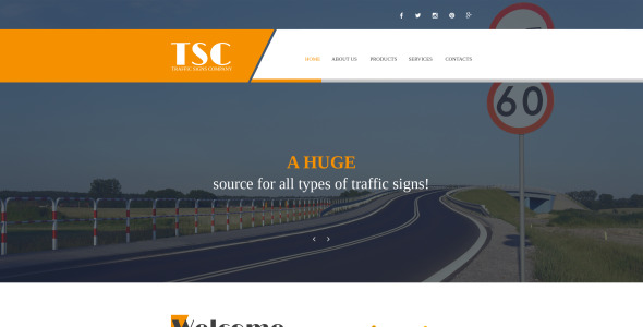 шаблон сайта гибкой школы трафика