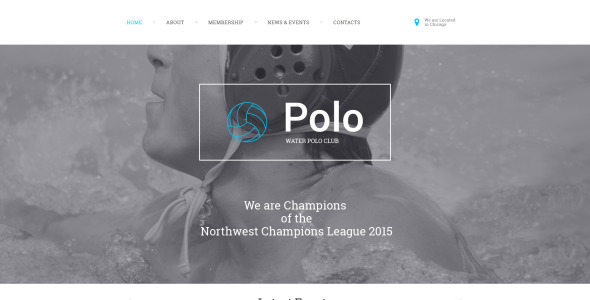 шаблон сайта polo