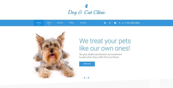 шаблон сайта клиники для собак и кошек