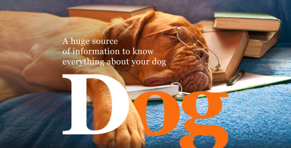 шаблон собачьей музы