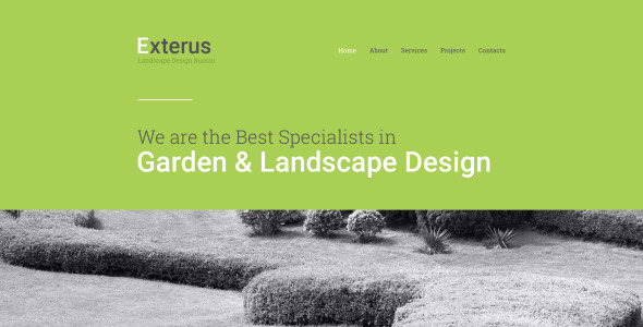 шаблон сайта exterus