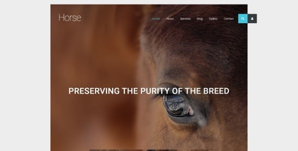 шаблон horse joomla шаблон horse joomla