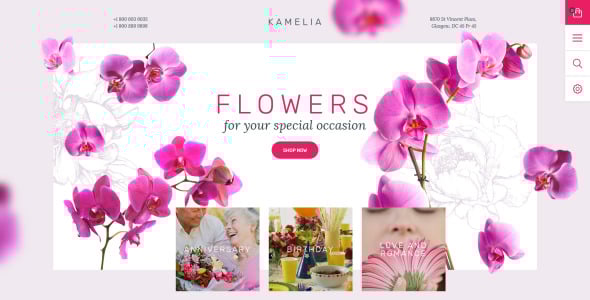 тема kamelia prestashop