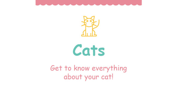 cat отзывчивый шаблон информационного бюллетеня