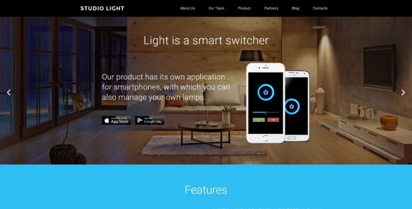 студия света wordpress тема