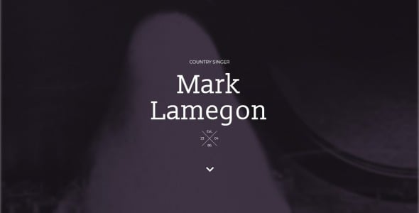 отзывчивый шаблон целевой страницы singer