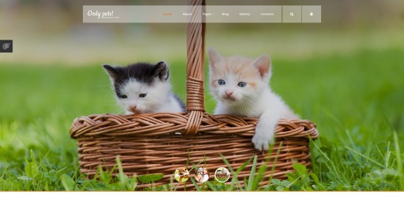 животные домашние животные шаблон joomla