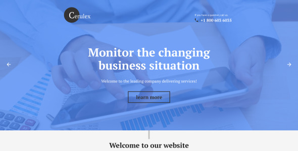 шаблон целевой страницы cerulex