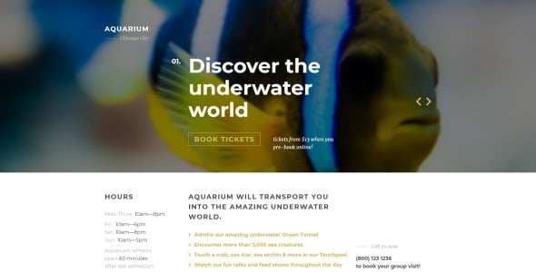 fish responsive landing page template