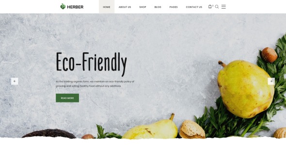 точный шаблон сайта интернет-магазина органических продуктов питания