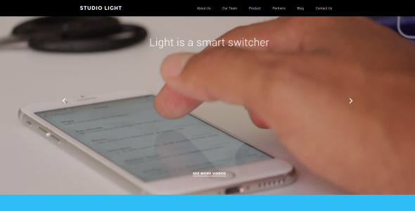 шаблон веб-сайта studio light