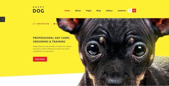 шаблон happy dog joomla