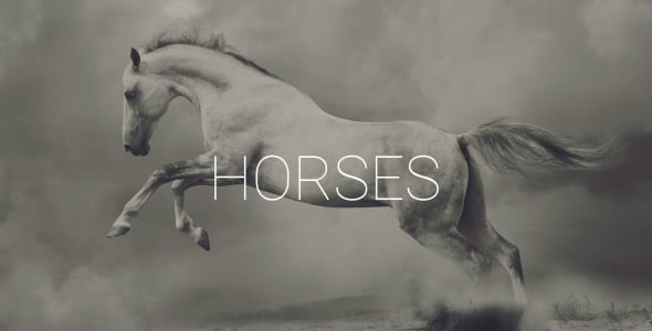 шаблон horse moto cms 3