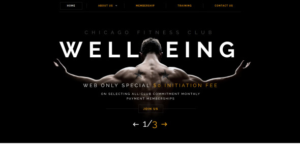 шаблон сайта wellbeing