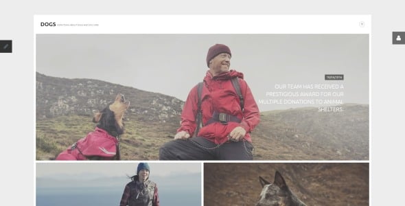 шаблон dogs joomla