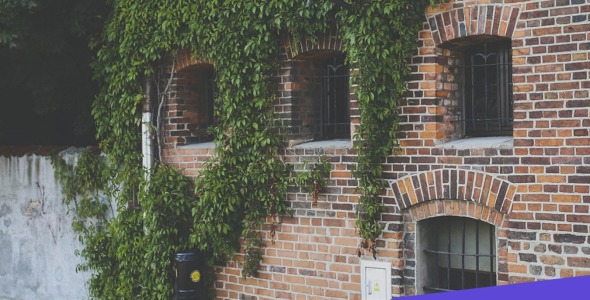 аренда недвижимости moto cms 3 шаблон